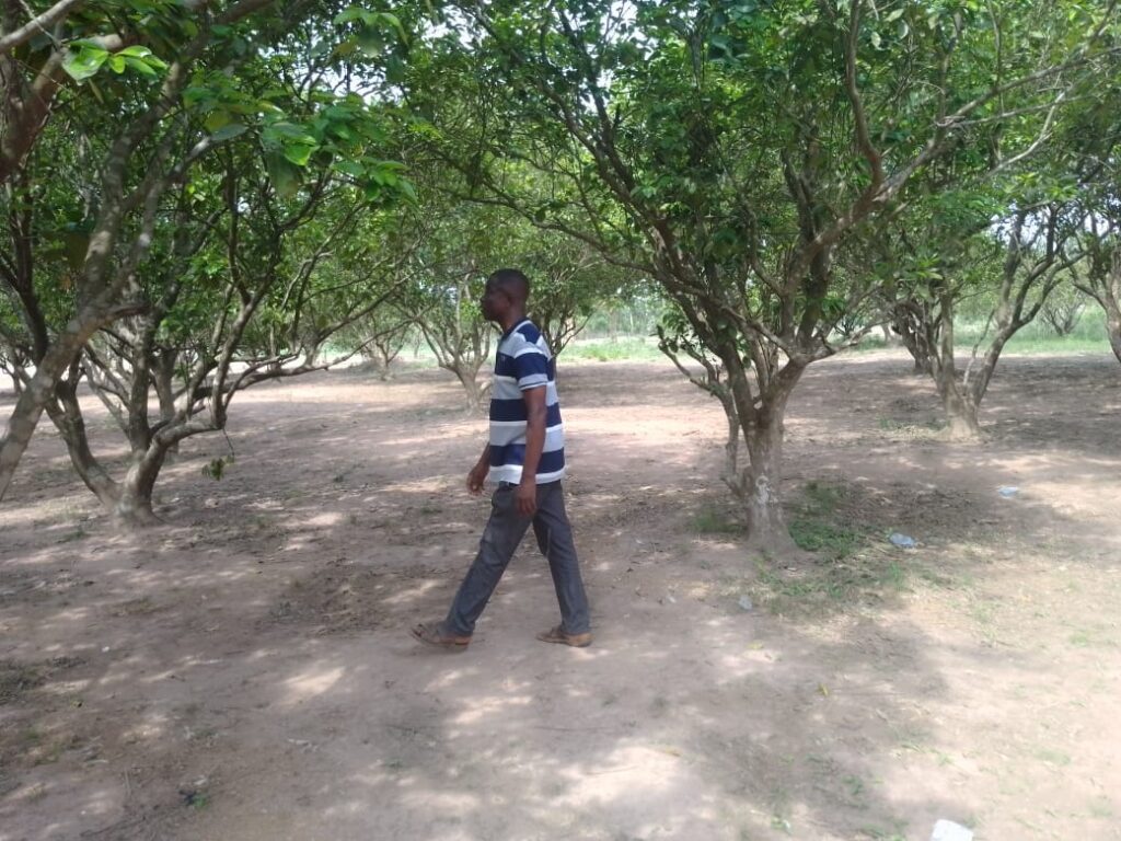 Orchard at Volta School for the Deaf
